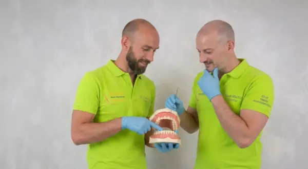 Due dentisti con camici verdi mostrano un modello di denti, spiegando come si chiamano i denti davanti.
