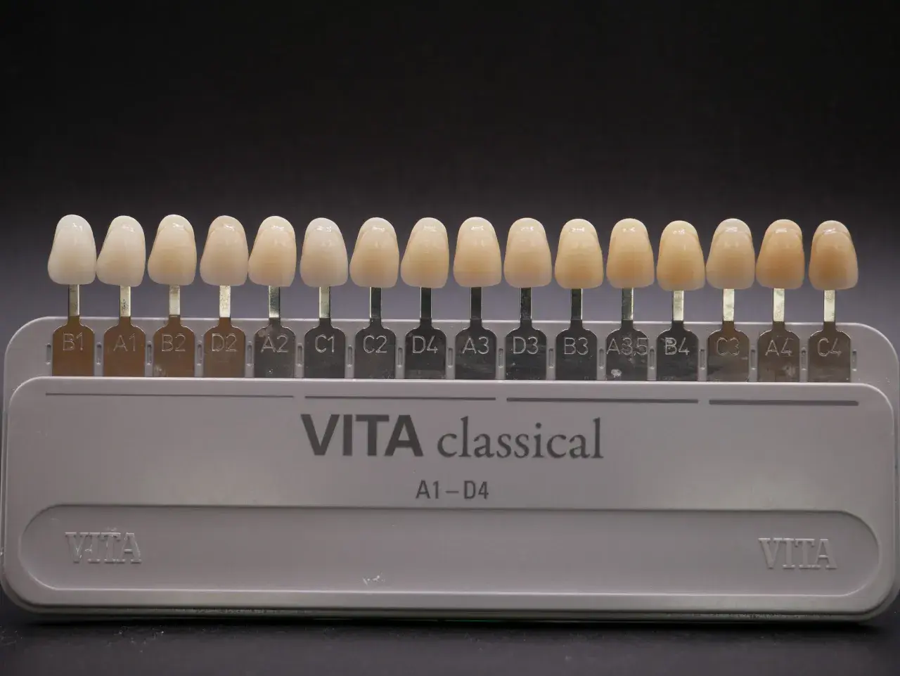 Scala VITA classical per la scelta del colore dei denti. Denti finti di varie tonalità per trovare la perfetta scala vita denti.