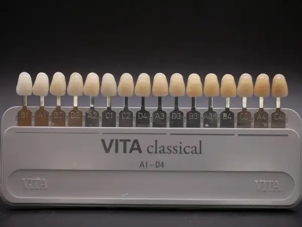 Scala VITA classical per la scelta del colore dei denti. Denti finti di varie tonalità per trovare la perfetta scala vita denti.